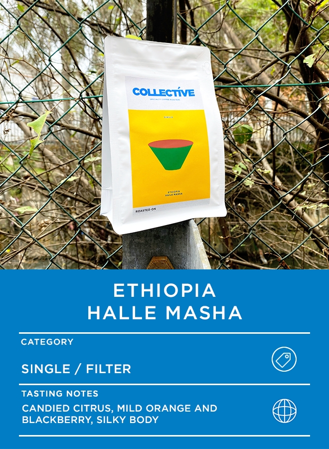 Ethiopia Haile Masha