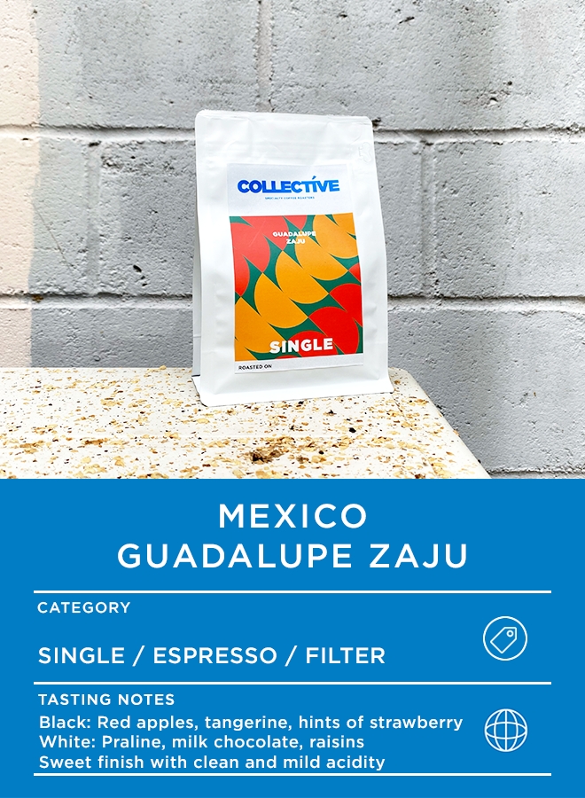 Mexico Guadalupe Zaju