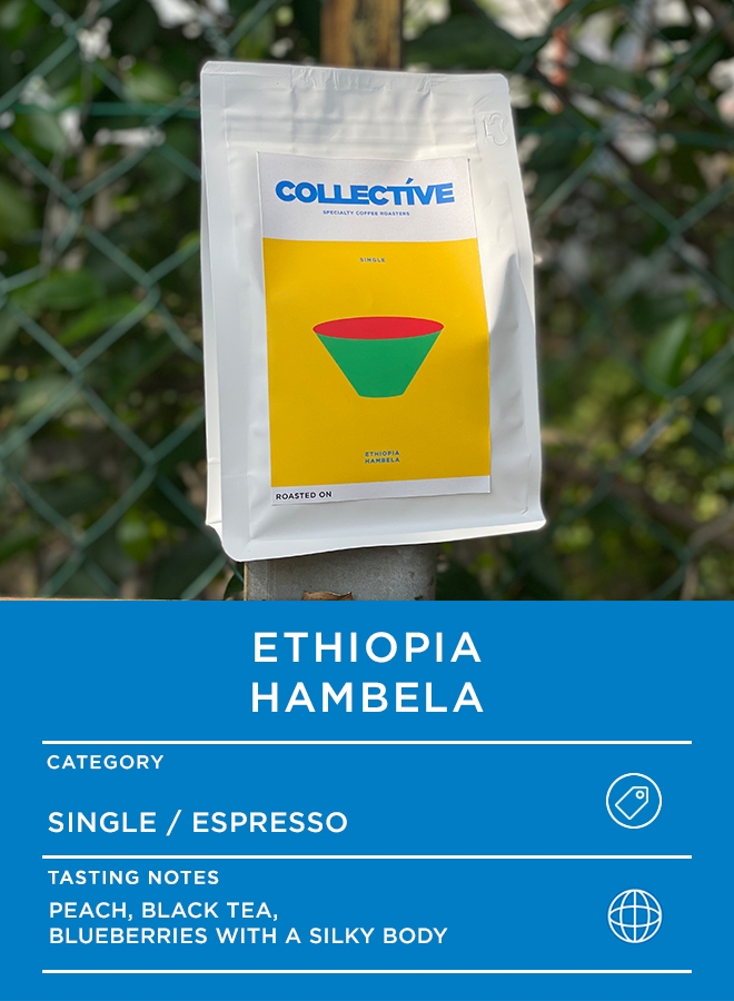 Ethiopia Hambela